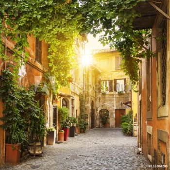 Picture of View of Old street in Trastevere in Rome